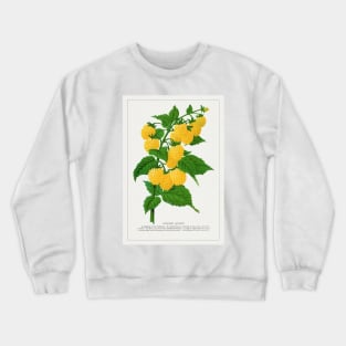 Golden Queen Raspberry Lithograph (1900) Crewneck Sweatshirt